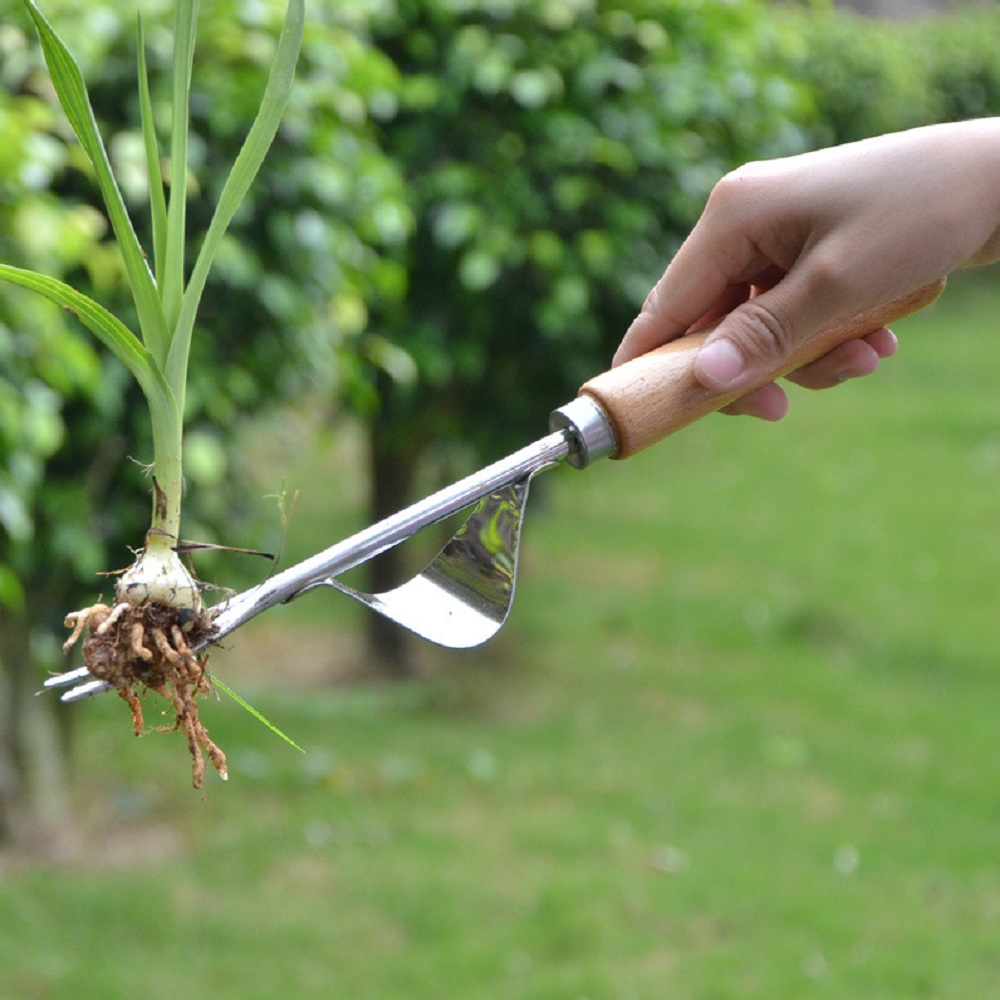 Gardening Tools To Remove Grass - เครื่องมือกำจัดวัชพืชแบบใช้มือ 1/2 ชิ้น รูปทรงตัววี ด้ามยาว สำหรับสวน