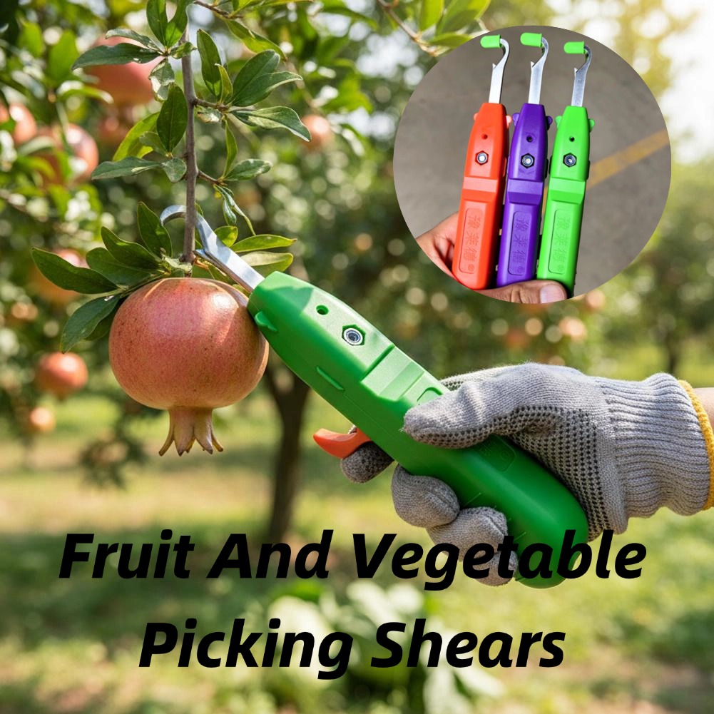 Gardening Tools Basic - กรรไกรตัดผลไม้และผัก กรรไกรตัดแต่งกิ่งในสวน ใบมีดโค้ง เครื่องมือเก็บเกี่ยว สำหรับเก็บเกี่ยวองุ่นและพริก