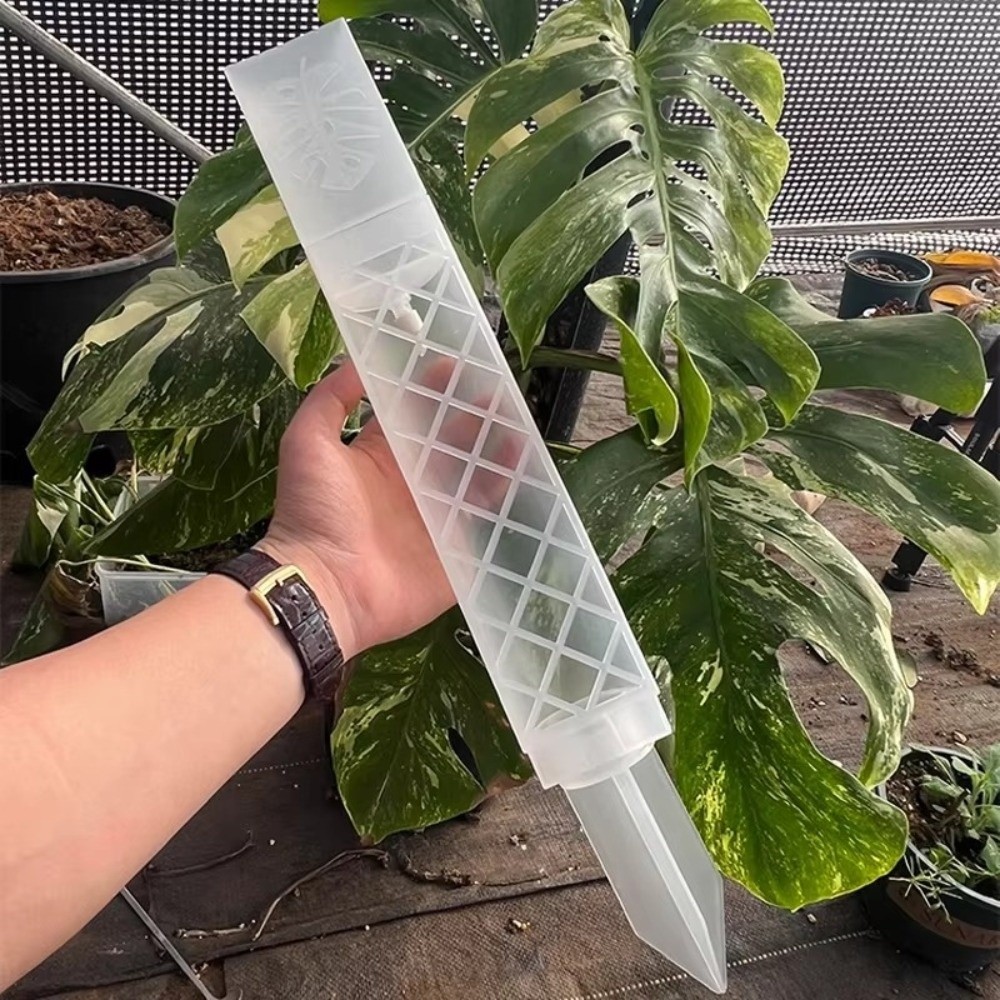 Automatic Plant Waterer - เสาให้น้ำต้นไม้รูปตัว D แบบปรับระดับการไหลได้ ทำจากพลาสติก สำหรับปลูกมอส ช่วยให้ต้นไม้เจริญเติบโตโดยอัตโนมัติ