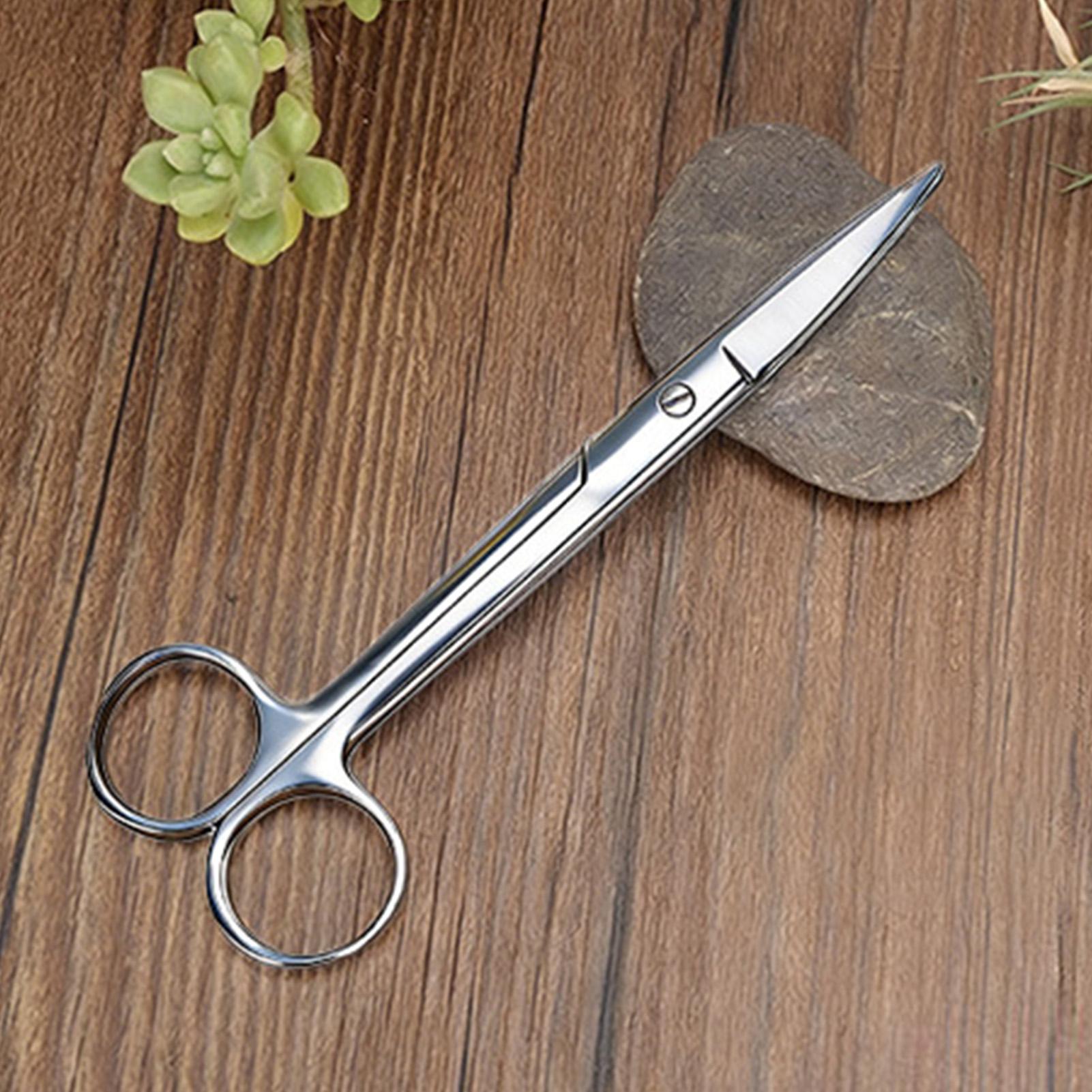 Pruning Shears - กรรไกรตัดแต่งกิ่งสแตนเลส ด้ามจับตามหลักสรีรศาสตร์ สำหรับตัดแต่งต้นไม้ในร่มและกลางแจ้ง ใช้ได้กับสวน ลานบ้าน ระเบียง