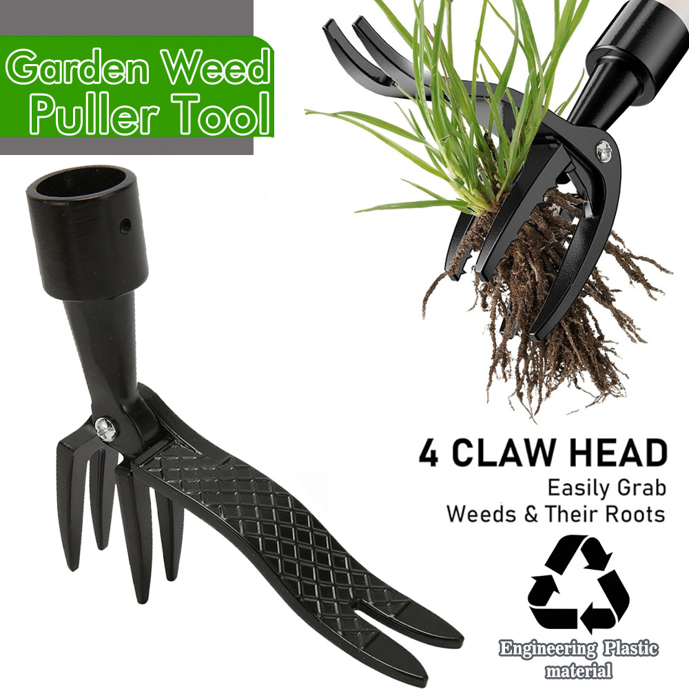 เครื่องมือถอนวัชพืชแบบตั้งพื้น - Gardening Tools To Remove Grass บทวิจารณ์และราคา