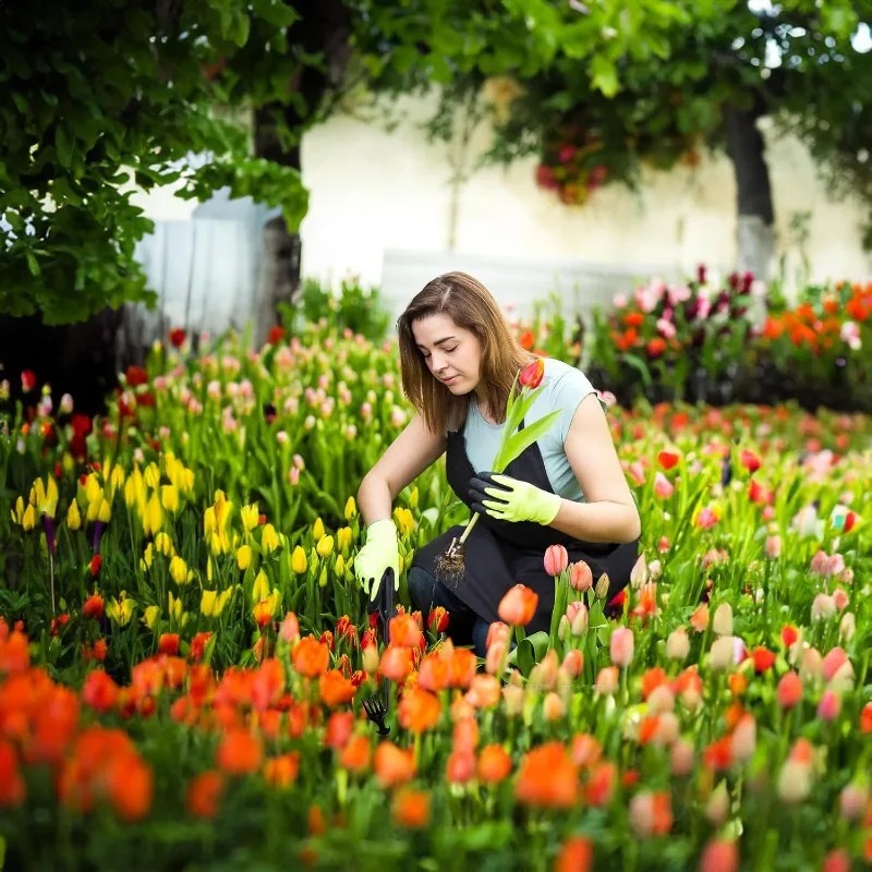 เครื่องมือทำสวน 2-in-1 แบบใช้ม - Gardening Tools To Remove Grass บทวิจารณ์และราคา