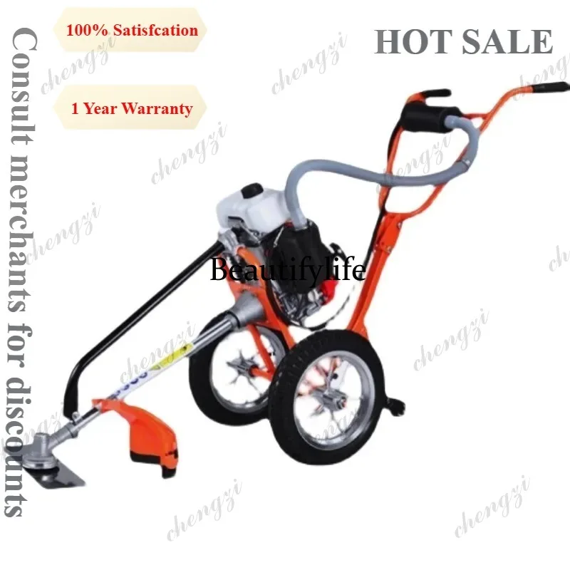 เครื่องตัดหญ้าแบบเข็น รุ่น L17 - Gardening Tools And Equipment บทวิจารณ์และราคา