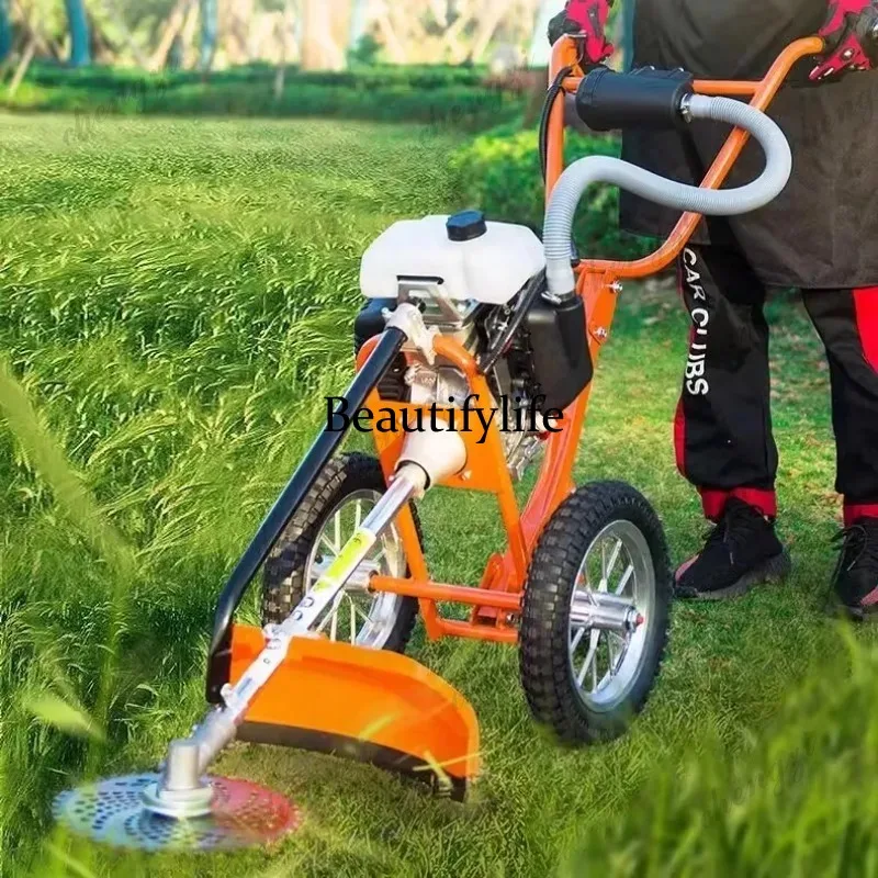 เครื่องตัดหญ้าแบบเข็น รุ่น L17 - Gardening Tools And Equipment บทวิจารณ์และราคา