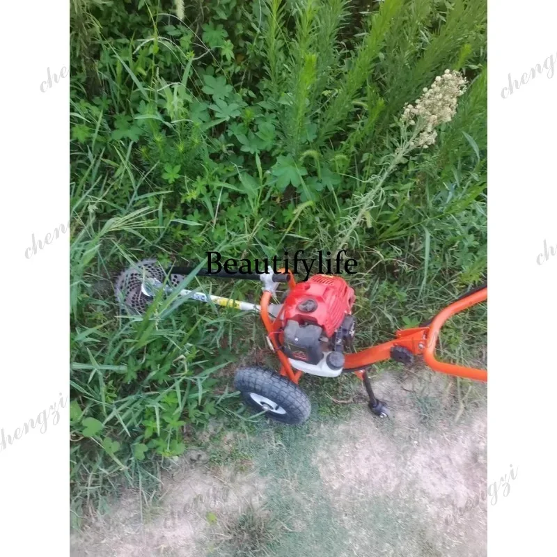 เครื่องตัดหญ้าแบบเข็น รุ่น L17 - Gardening Tools And Equipment บทวิจารณ์และราคา