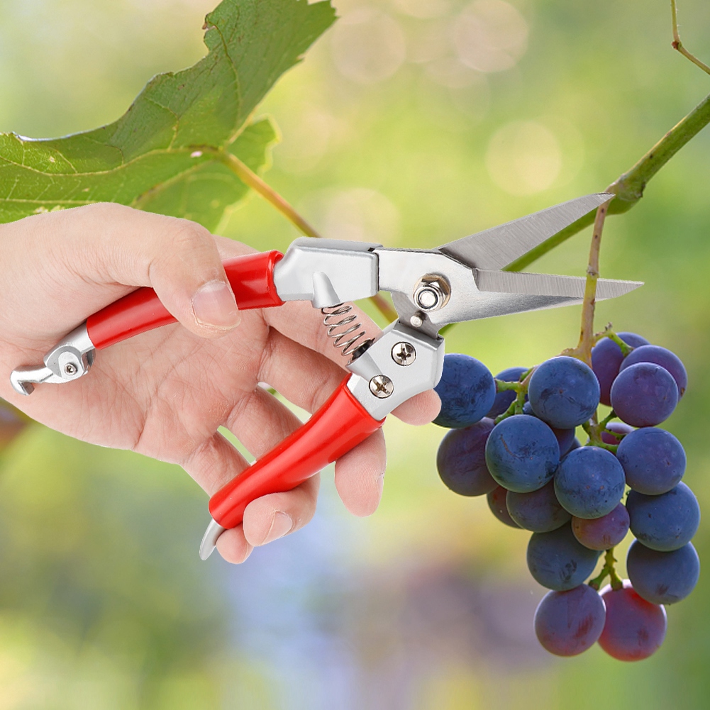 กรรไกรตัดแต่งกิ่งไม้ กรรไกรตัด - Pruning Shears บทวิจารณ์และราคา