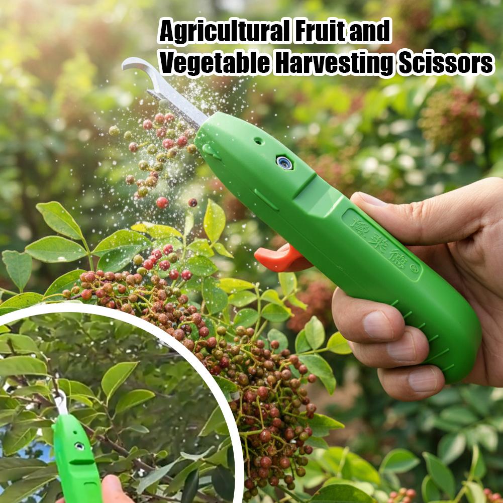 กรรไกรตัดผลไม้และผัก กรรไกรตัด - Gardening Tools Basic บทวิจารณ์และราคา