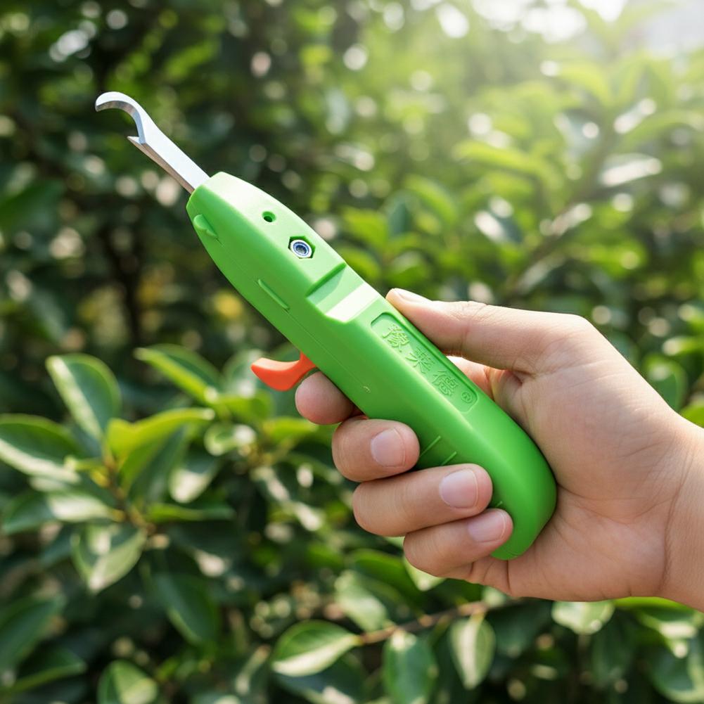 กรรไกรตัดผลไม้และผัก กรรไกรตัด - Gardening Tools Basic บทวิจารณ์และราคา