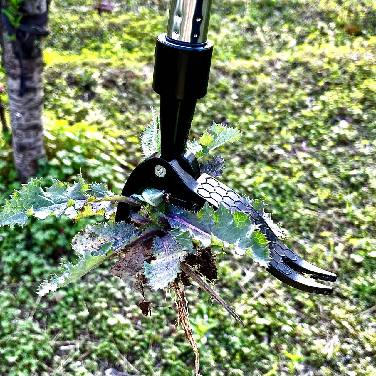 ประหยัดแรงงานมือโลหะวัชพืช EXT - Gardening Tools Needed บทวิจารณ์และราคา