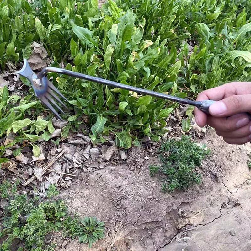 เครื่องกำจัดวัชพืชในสวน, เครื่ - Gardening Tools To Remove Grass บทวิจารณ์และราคา