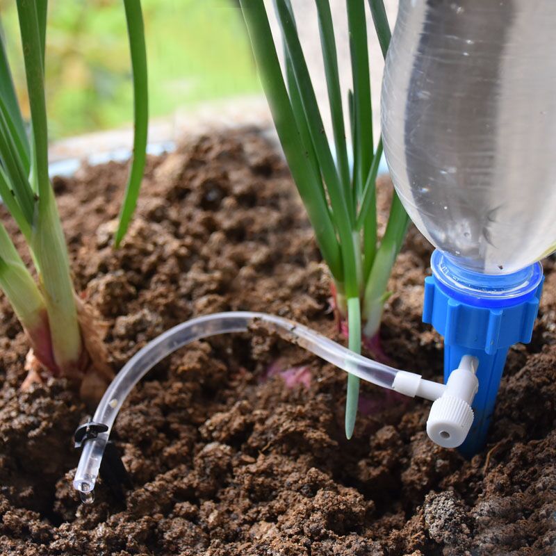 หยดชลประทานอัตโนมัติ Plant Wat - Root Watering Spike บทวิจารณ์และราคา