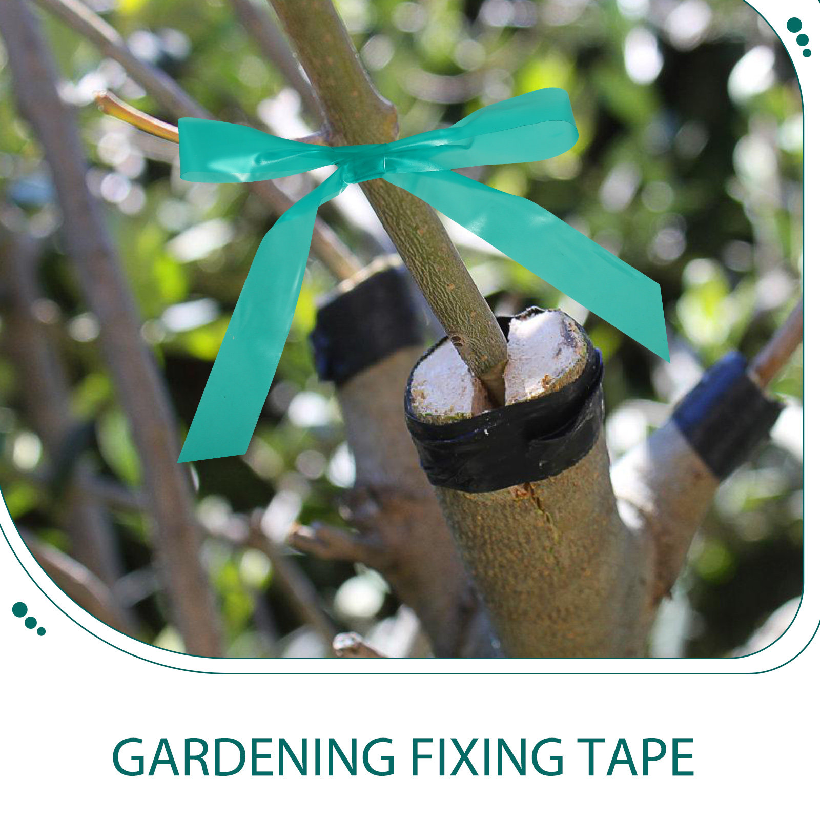 เทปยึดกิ่งไม้แบบยืดหยุ่น 2 ม้ว - Gardening Tools Repair บทวิจารณ์และราคา