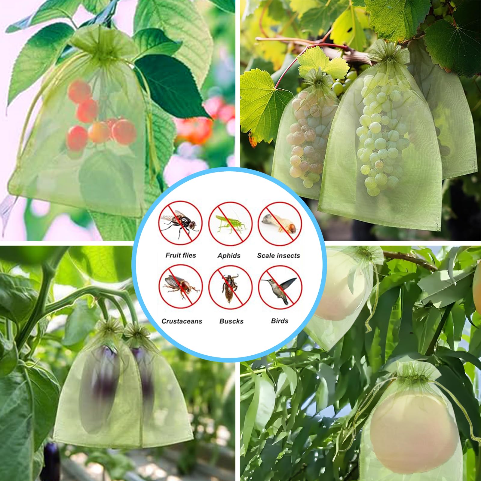 ตาข่ายป้องกันนกอย่างมีประสิทธิ - Outdoor Planting Bag บทวิจารณ์และราคา