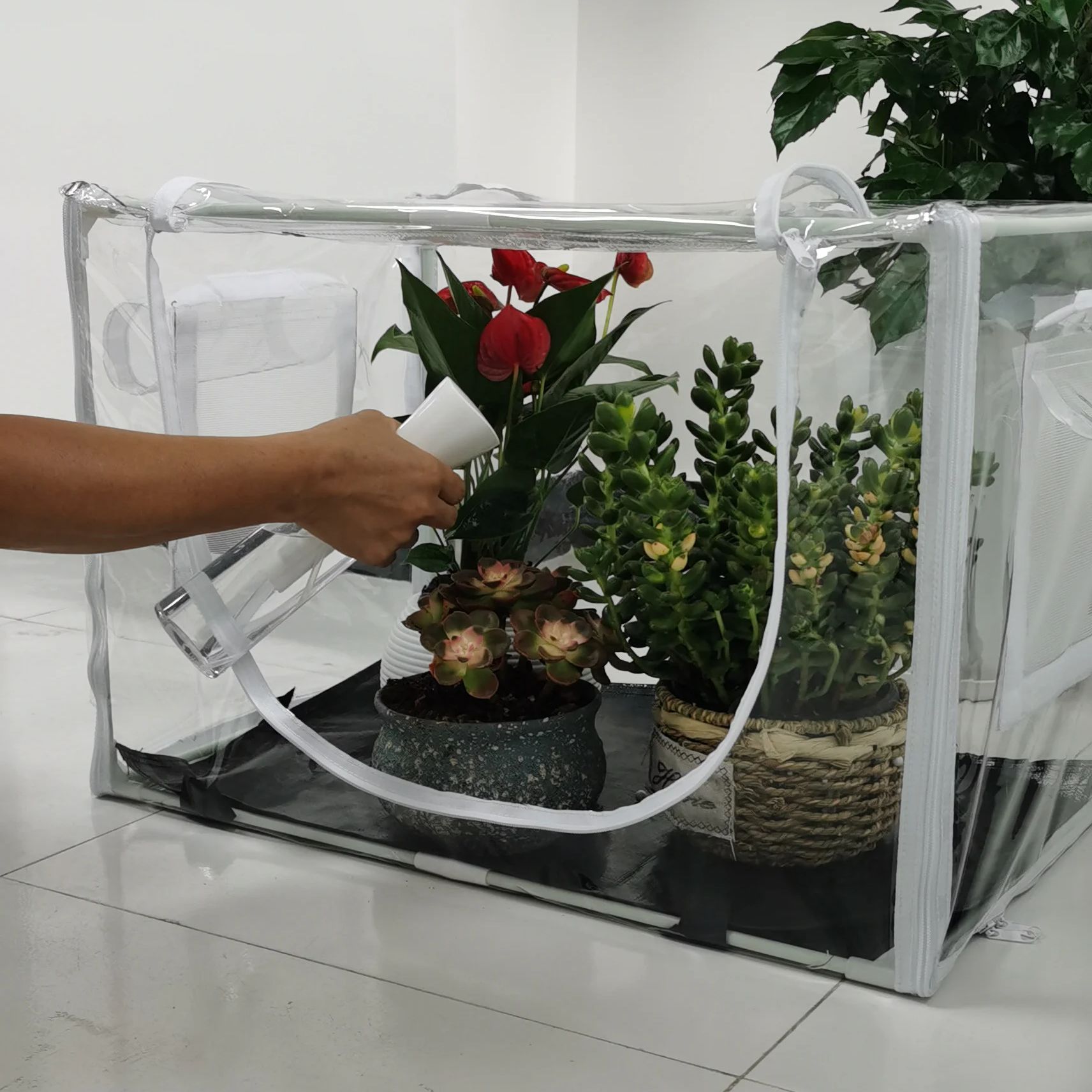 เรือนกระจกขนาดกะทัดรัดสำหรับปล - Outdoor Planting Bag บทวิจารณ์และราคา