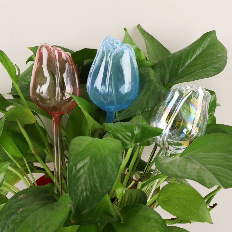 เครื่องให้น้ำต้นไม้แก้ว 1 ชิ้น - Automatic Plant Waterer บทวิจารณ์และราคา