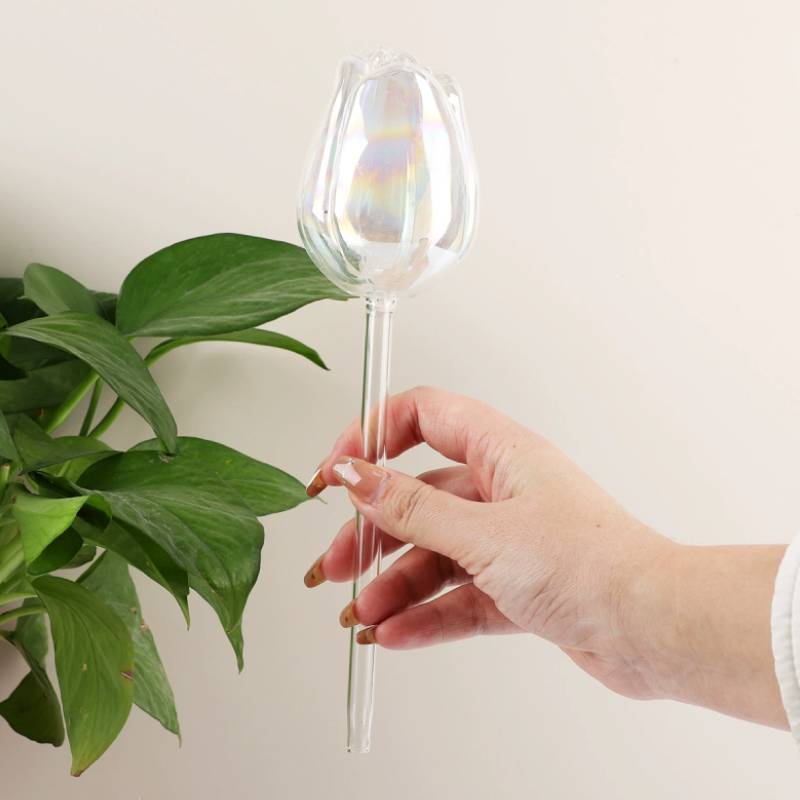 เครื่องให้น้ำต้นไม้แก้ว 1 ชิ้น - Automatic Plant Waterer บทวิจารณ์และราคา