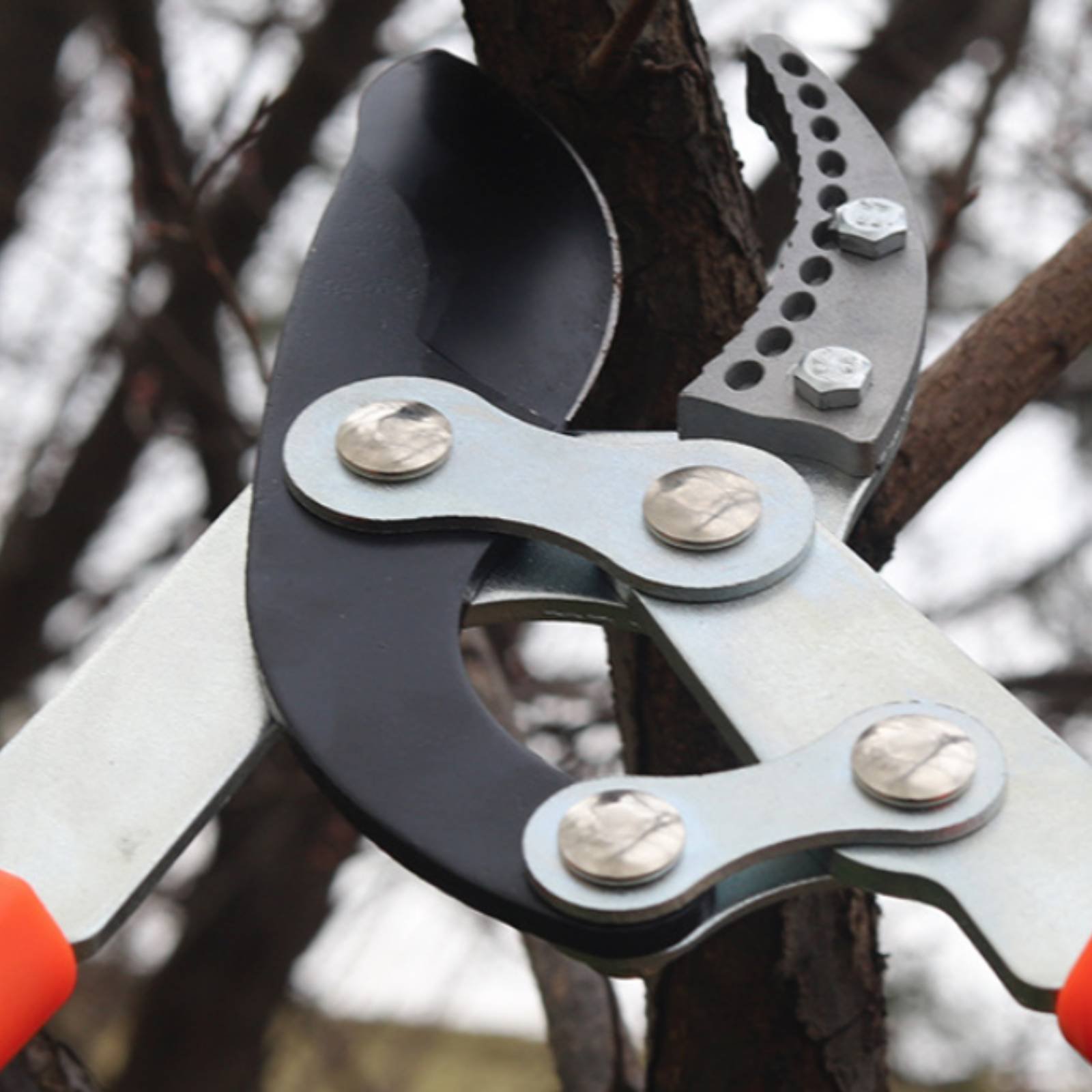 กรรไกรตัดกิ่งแบบยืดหดได้ ใบมีด - Pruning Shears บทวิจารณ์และราคา
