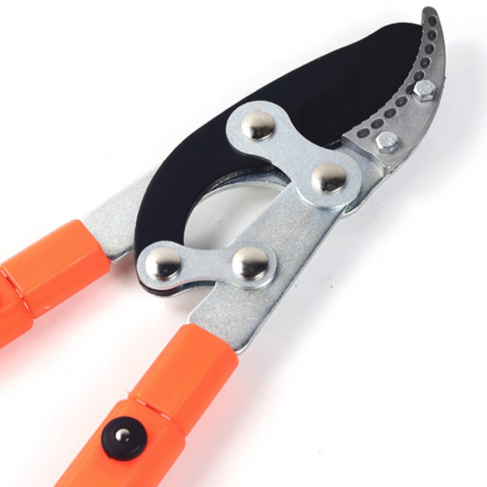 กรรไกรตัดกิ่งแบบยืดหดได้ ใบมีด - Pruning Shears บทวิจารณ์และราคา