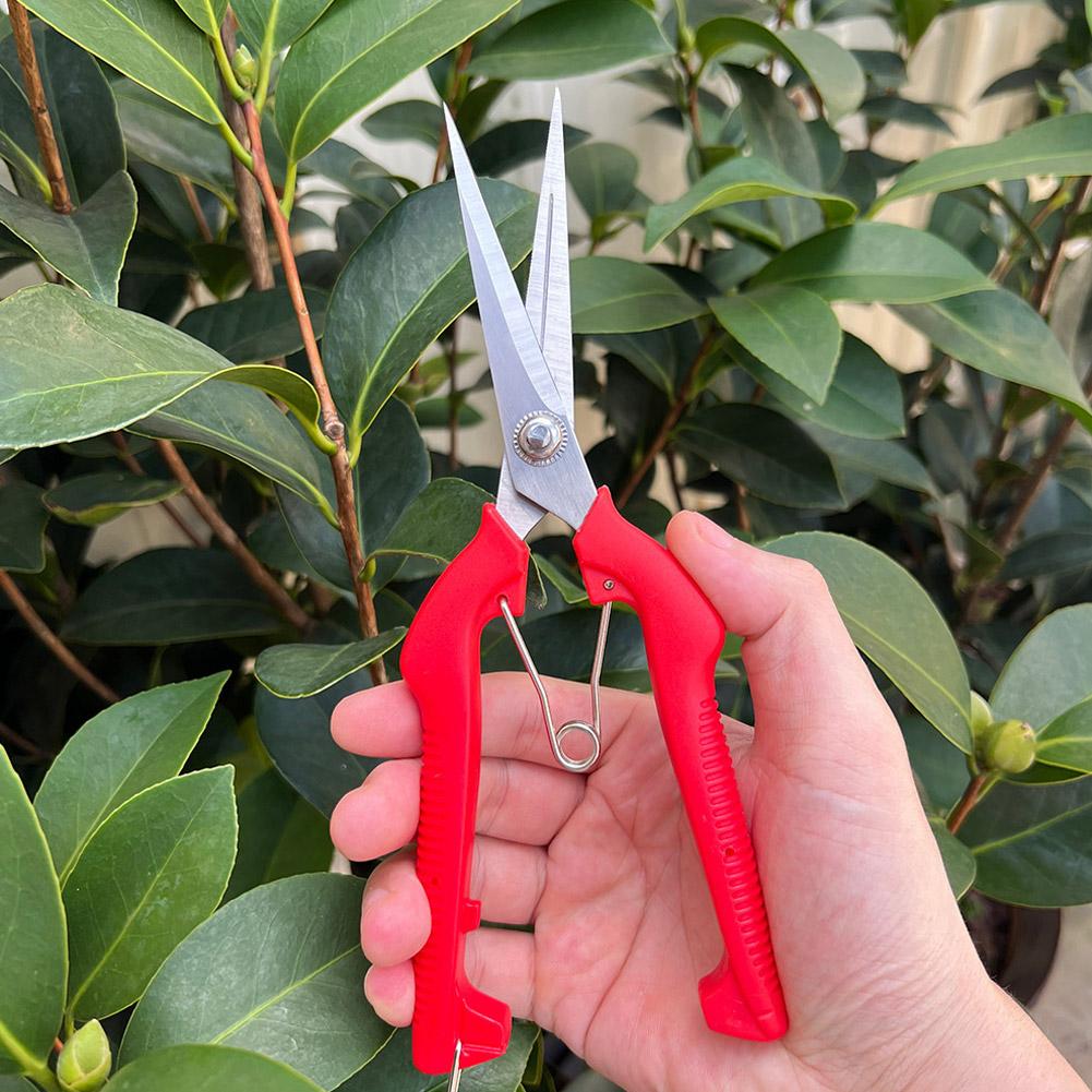 กรรไกรตัดแต่งกิ่ง Pro Garden แ - Gardening Tools Basic บทวิจารณ์และราคา