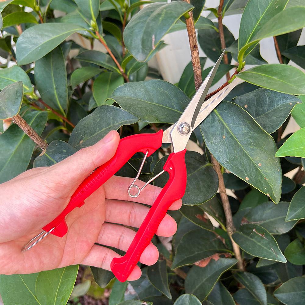 กรรไกรตัดแต่งกิ่ง Pro Garden แ - Gardening Tools Basic บทวิจารณ์และราคา