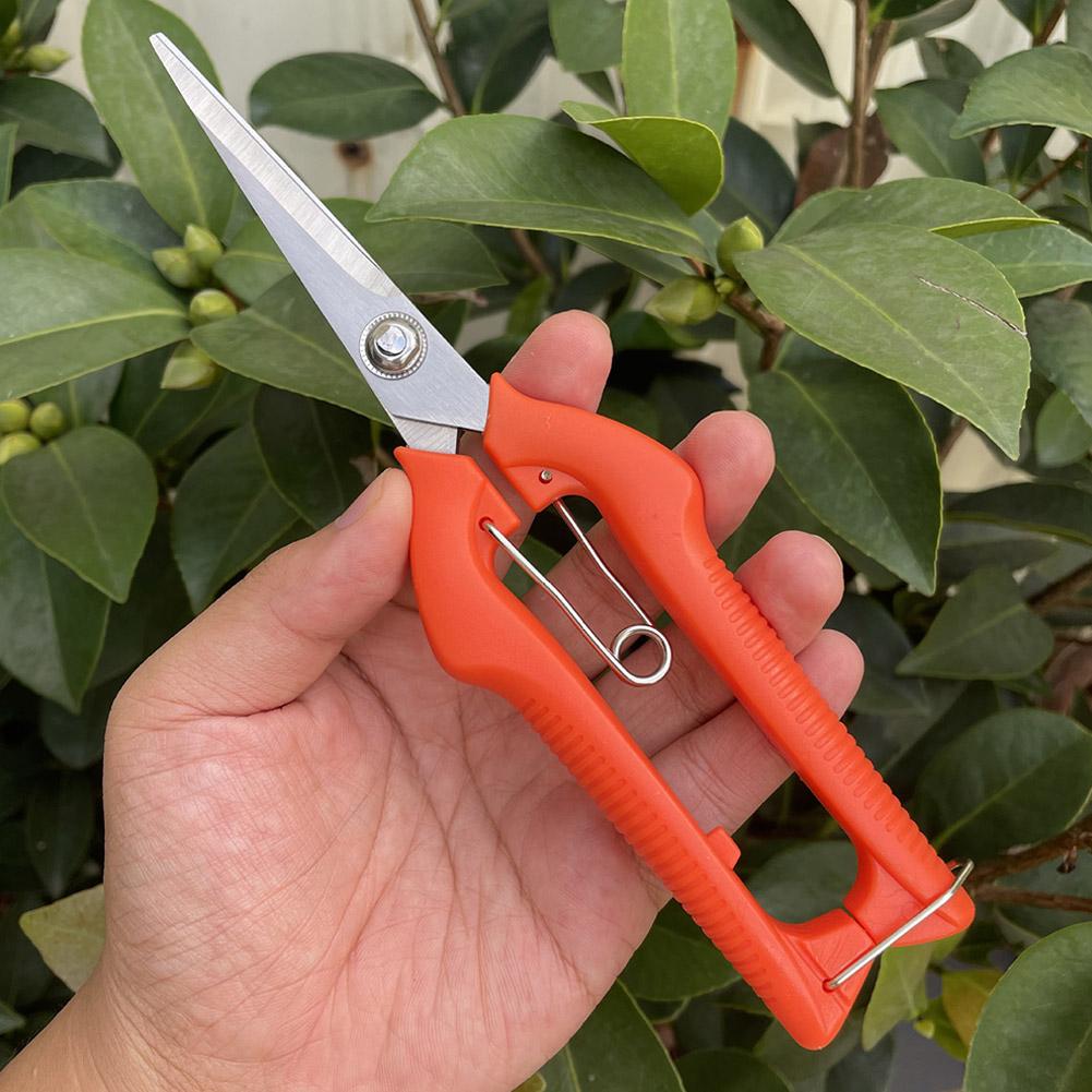 กรรไกรตัดแต่งกิ่ง Pro Garden แ - Gardening Tools Basic บทวิจารณ์และราคา