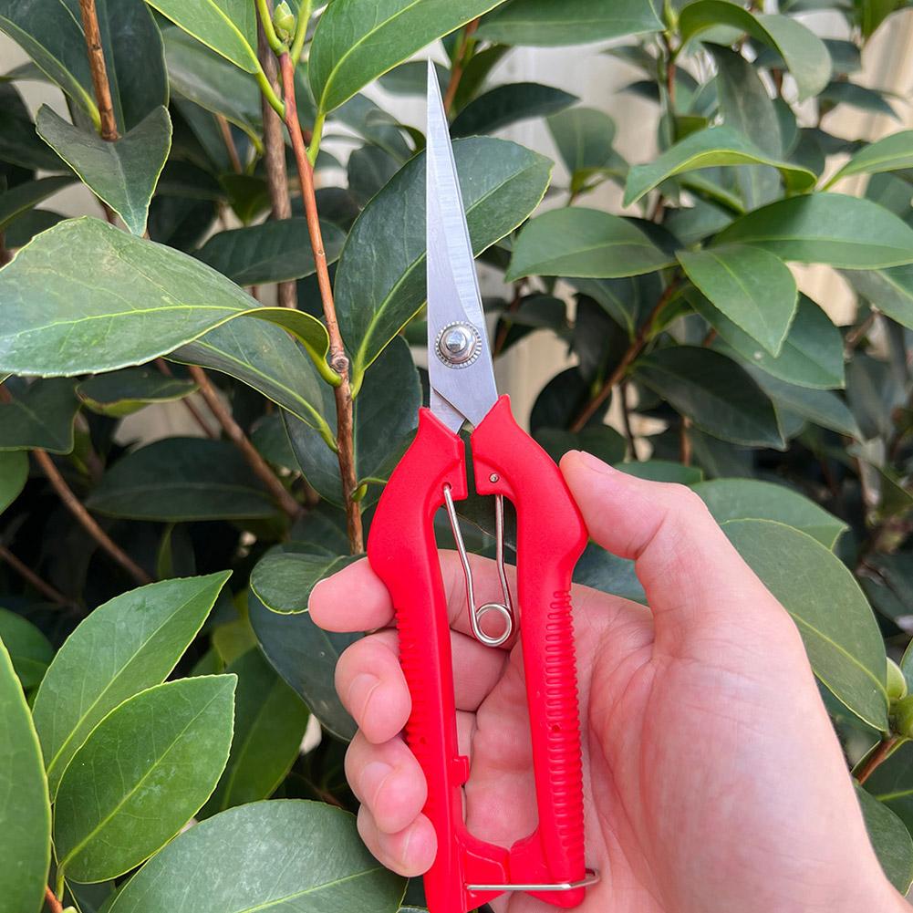 กรรไกรตัดแต่งกิ่ง Pro Garden แ - Gardening Tools Basic บทวิจารณ์และราคา