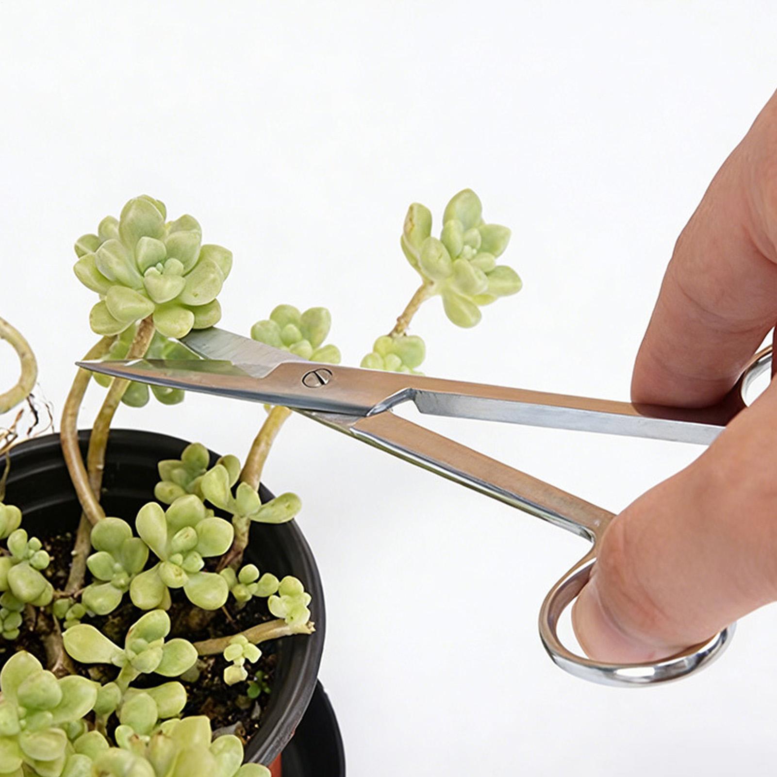 กรรไกรตัดแต่งกิ่งสแตนเลส ด้ามจ - Pruning Shears บทวิจารณ์และราคา