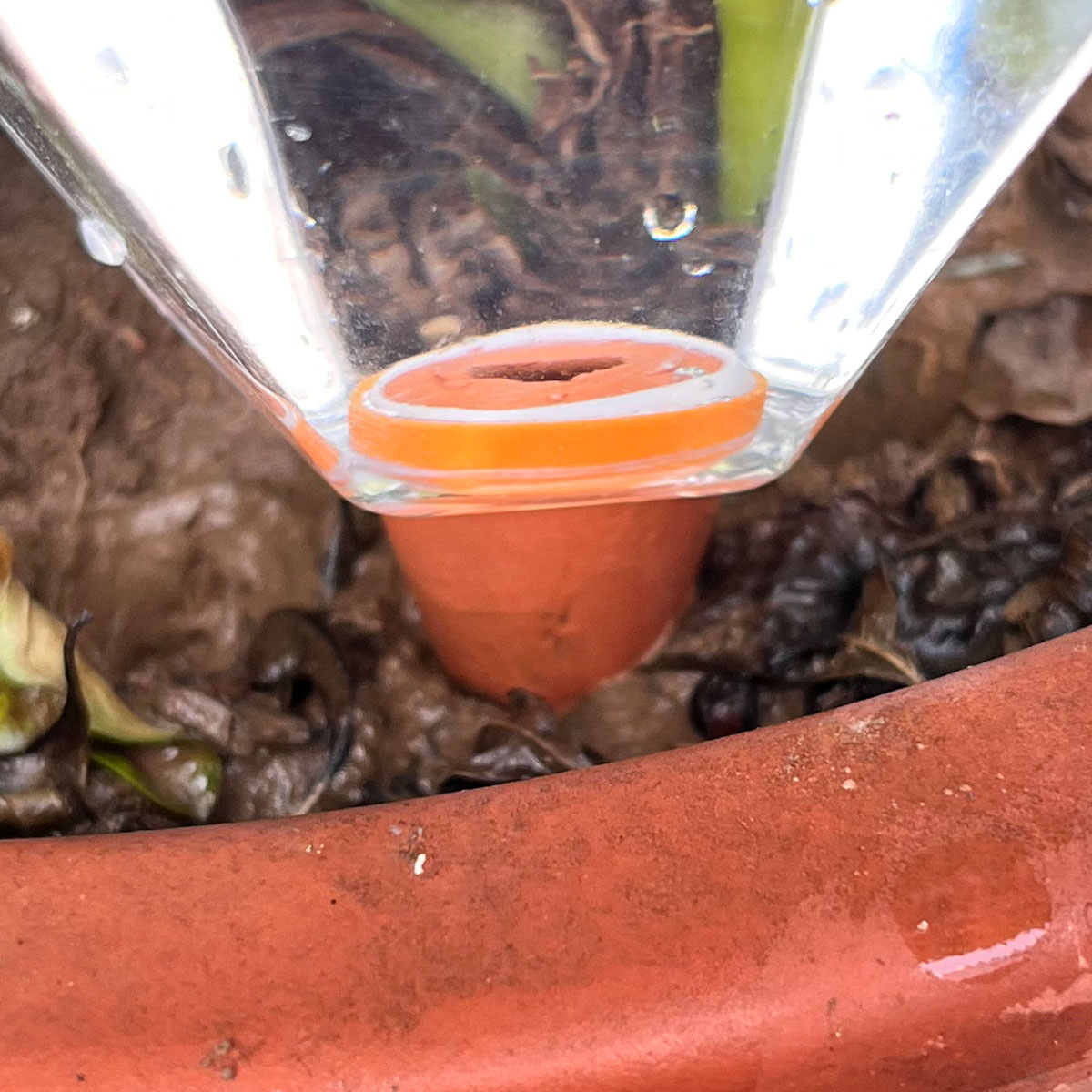 เครื่องรดน้ำต้นไม้พลาสติกน่ารั - Automatic Plant Waterer บทวิจารณ์และราคา