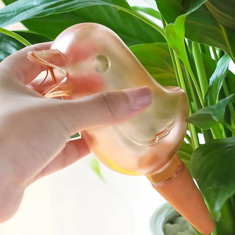 คุณภาพสูงอัตโนมัติดอกไม้ water - Automatic Plant Waterer บทวิจารณ์และราคา