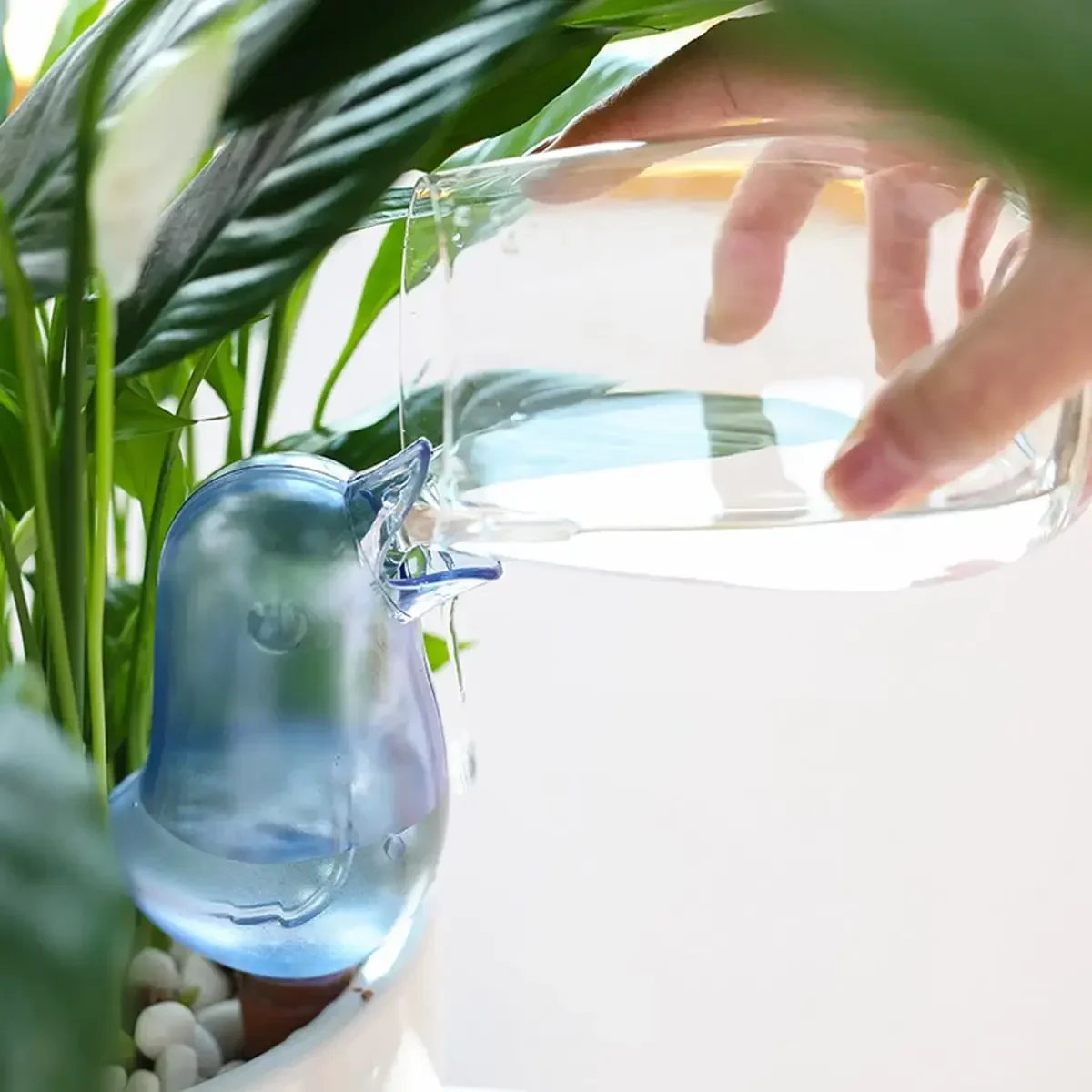 คุณภาพสูงอัตโนมัติดอกไม้ water - Automatic Plant Waterer บทวิจารณ์และราคา