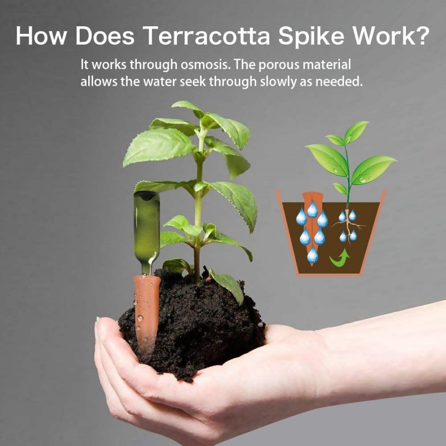 8 ชิ้น Self Watering Terracott - Root Watering Spike บทวิจารณ์และราคา