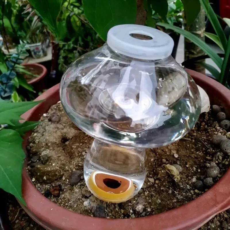 อุปกรณ์รดน้ำต้นไม้อัตโนมัติ ระ - Automatic Plant Waterer บทวิจารณ์และราคา