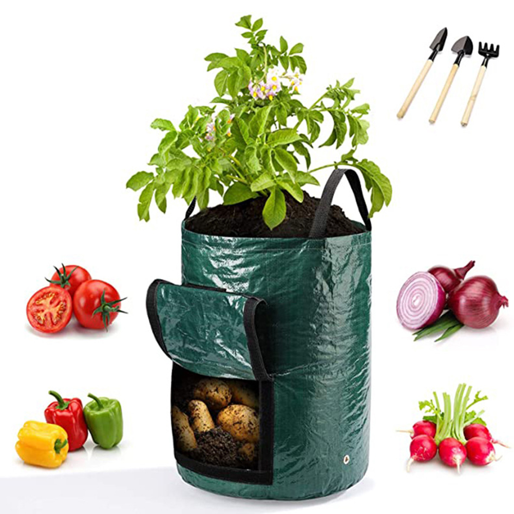 ถุงปลูกต้นไม้ขนาด 10 แกลลอน 1  - Outdoor Planting Bag บทวิจารณ์และราคา