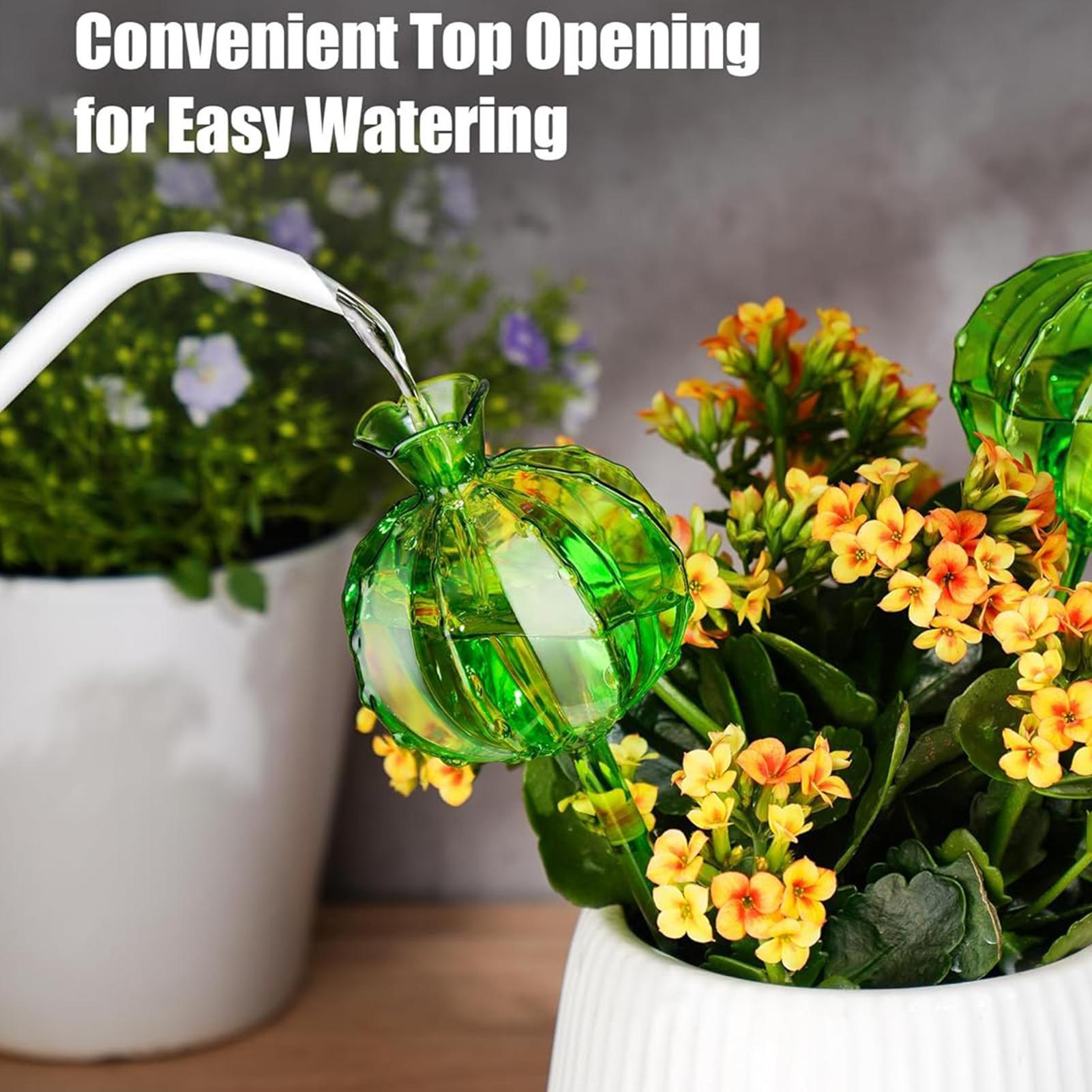 ลูกบอลรดน้ำต้นไม้แบบเสียบดิน 3 - Automatic Plant Waterer บทวิจารณ์และราคา